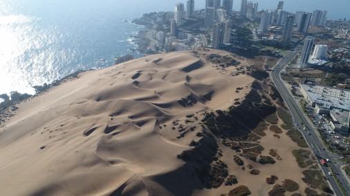 Campo Dunar de La Punta de Concón