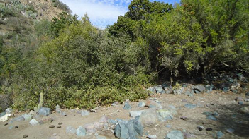 Quebrada Llau Llau