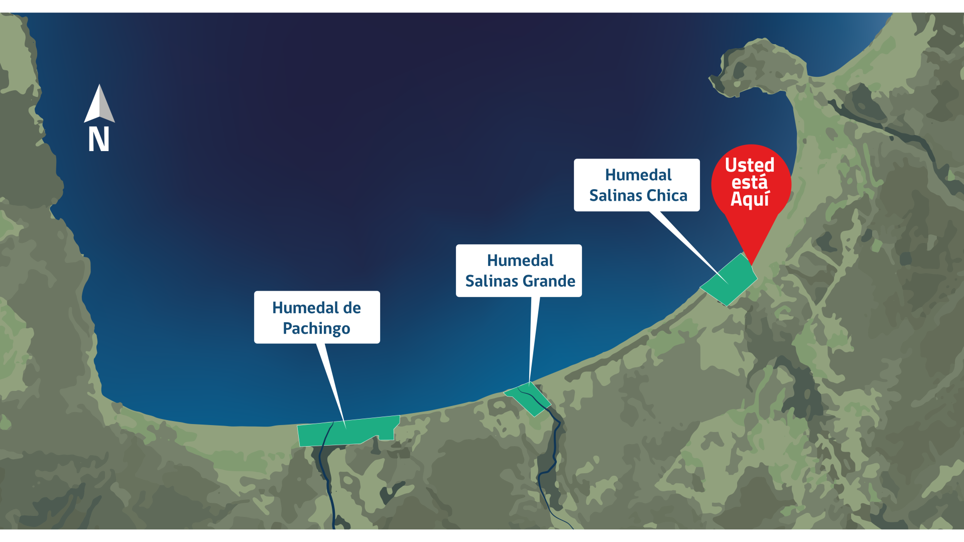 Mapa Ilustrado Humedales