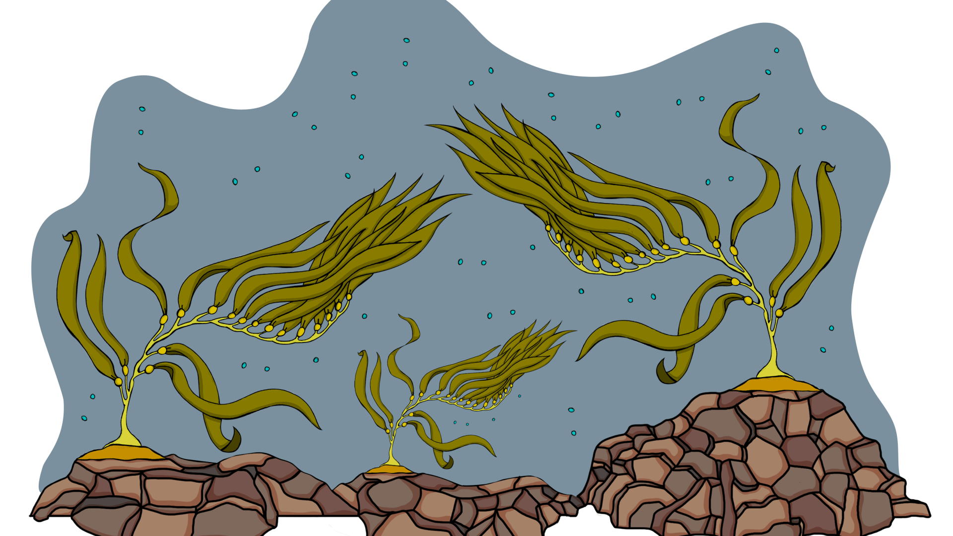 Ilustración Bosque de Calabacillo