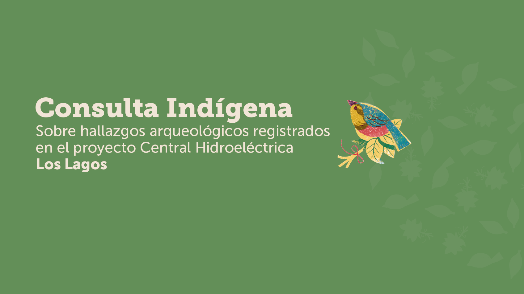 Consulta indigena