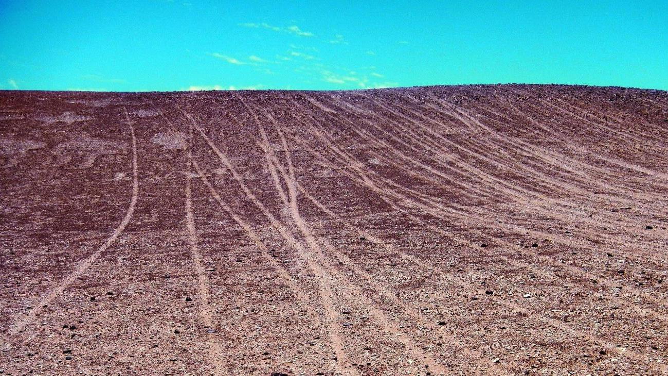 Imagen de Consejo de Monumentos pedirá al Consejo de Defensa del Estado evaluar querella por daños a Geoglifos en Pozo Almonte
