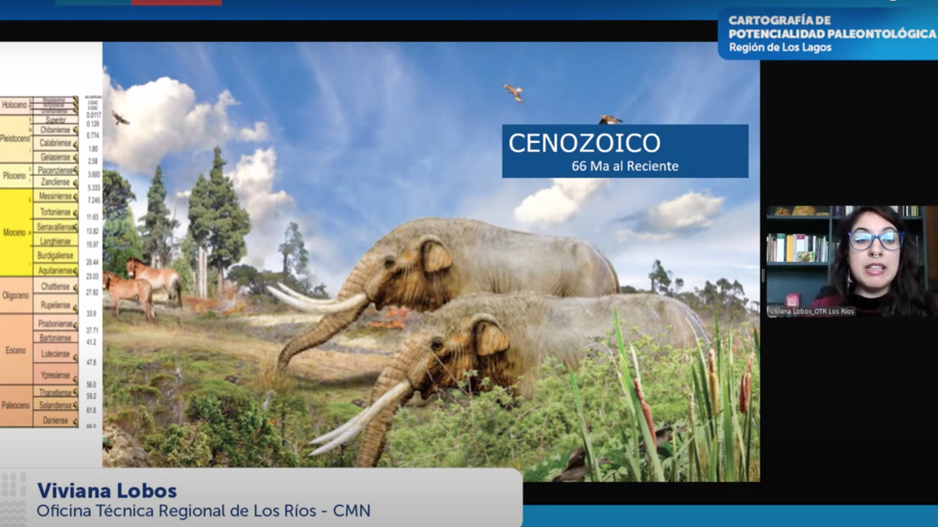 Imagen de Consejo de Monumentos Nacionales lanza herramienta digital que revela el potencial paleontológico de la Región de Los Lagos