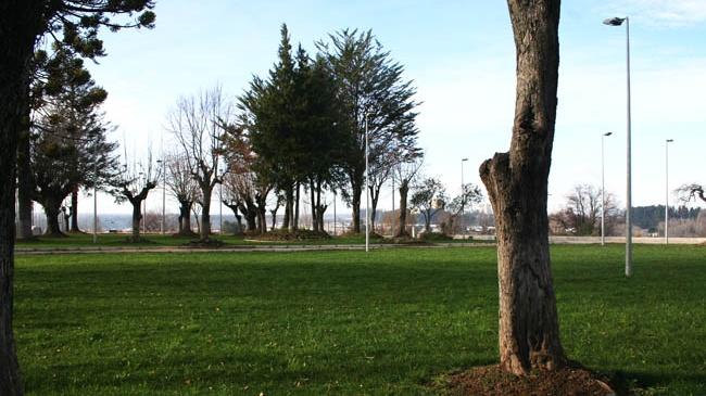 Imagen del monumento Fuerte de Nacimiento