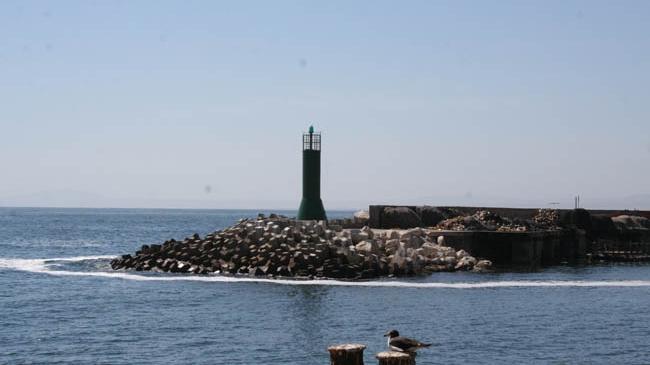 Imagen del monumento Molo y muelle de la ex Compañía de Salitre