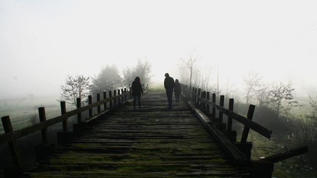 Imagen del monumento Puente viejo sobre el Río Itata
