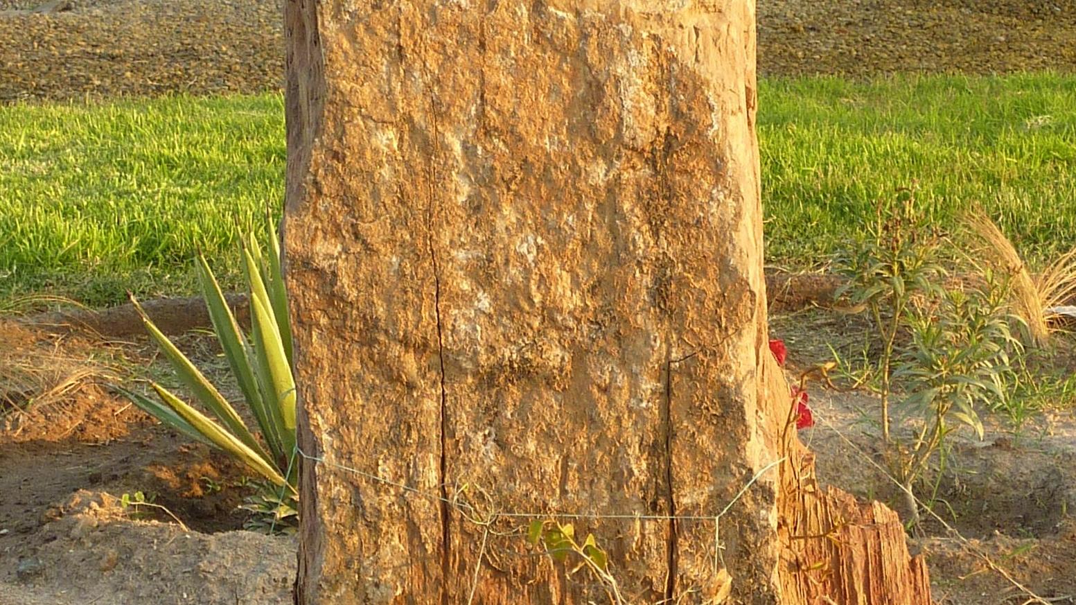 Imagen del monumento Carlos SaLas Iglesias