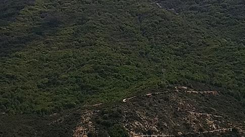 Imagen del monumento Sector del cerro El Roble