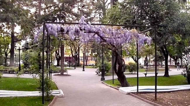 Imagen del monumento Plaza de Armas de Curicó con todos los edificios que la circundan