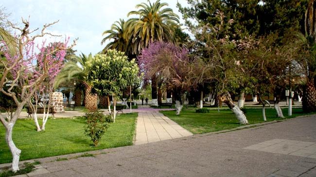 Imagen del monumento Plaza de Guacarhue