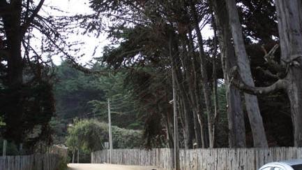 Imagen del monumento Sector costero de Isla Negra