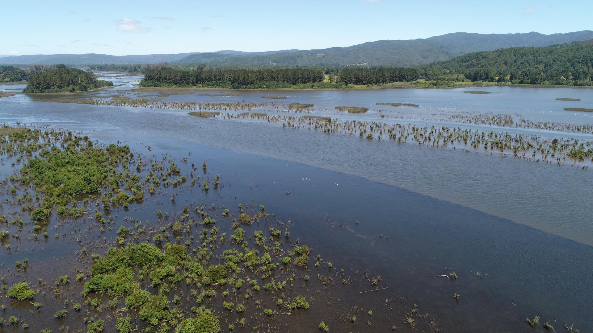 Imagen del monumento Zona húmeda de los alrededores de la ciudad de Valdivia