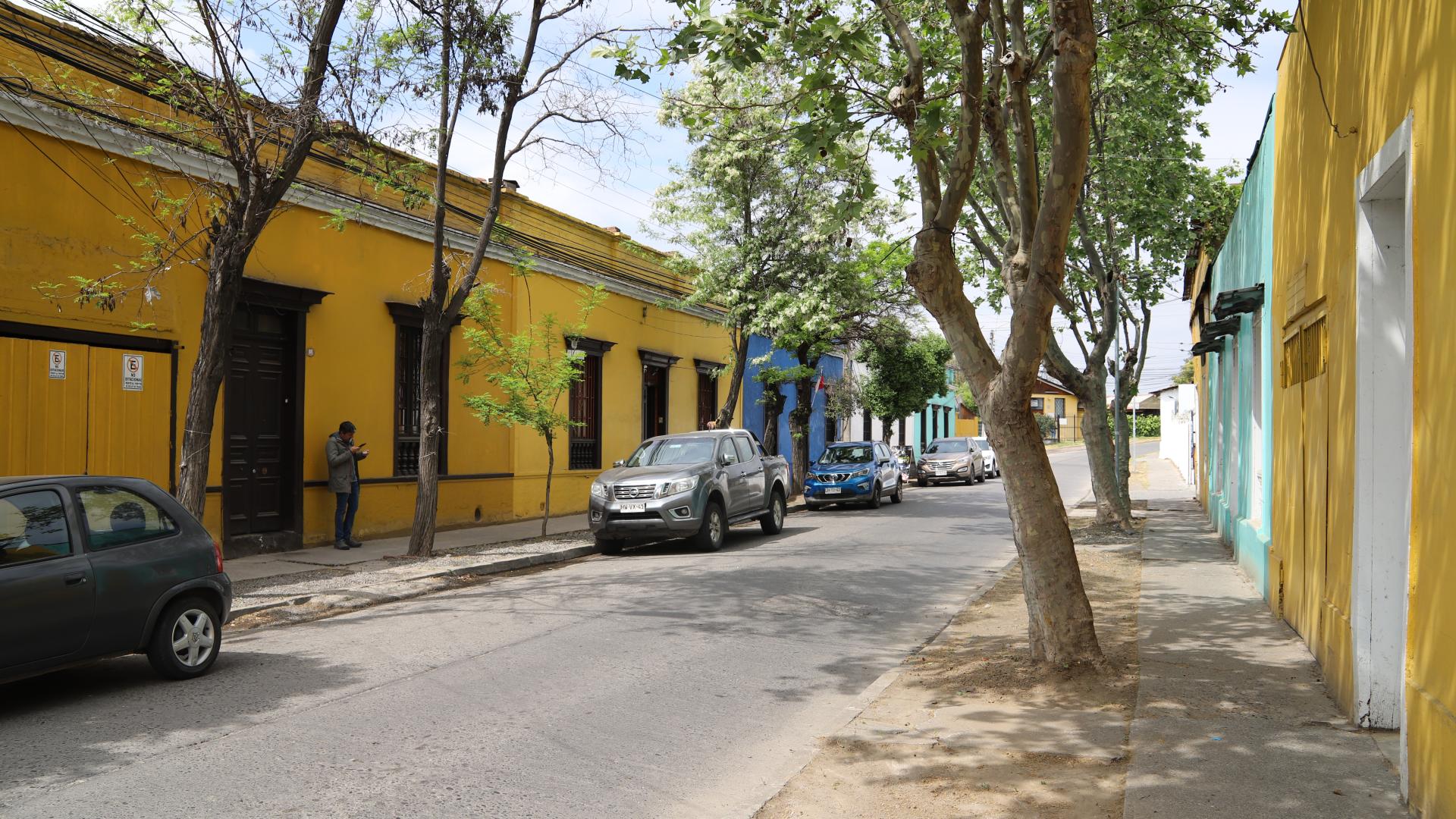 Imagen del monumento Pasaje Trenova