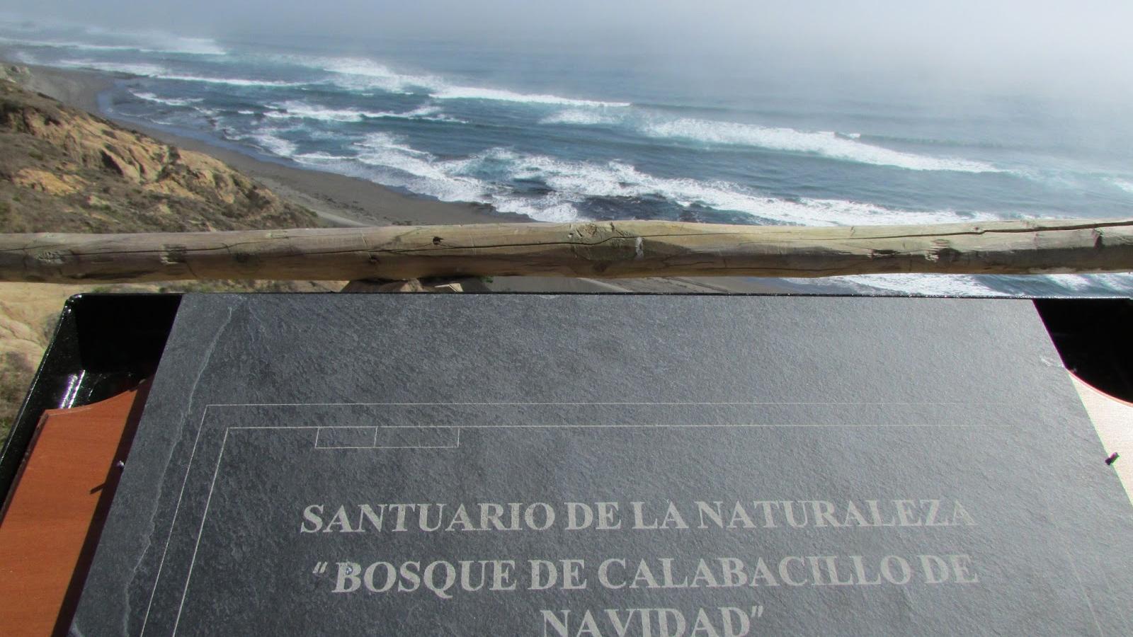 Imagen del monumento Bosque de Calabacillo