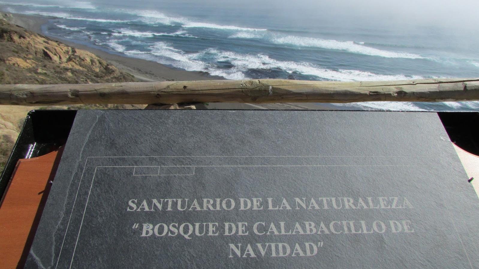Imagen del monumento Bosque de Calabacillo