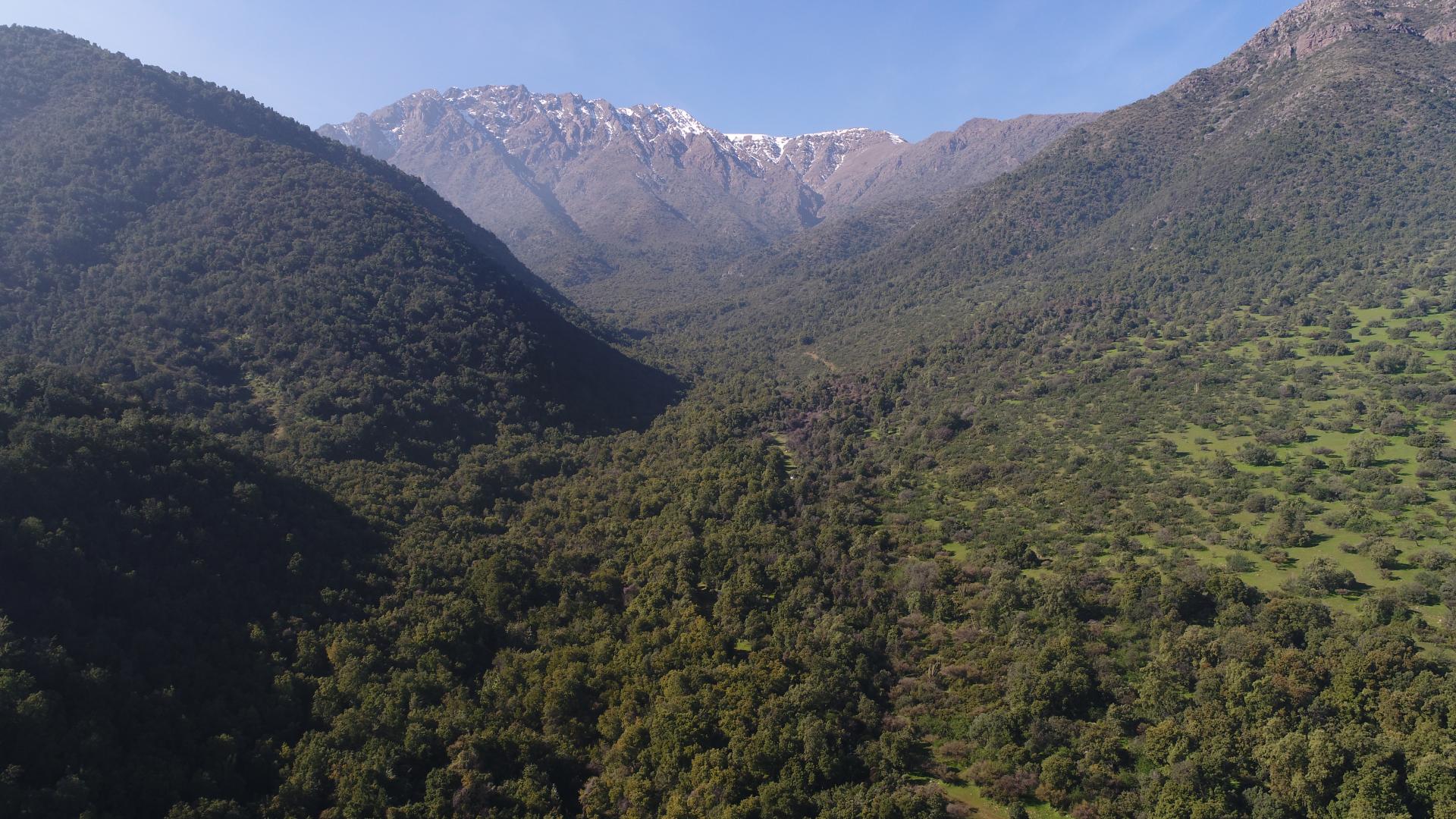 Imagen del monumento Torcazas de Pirque