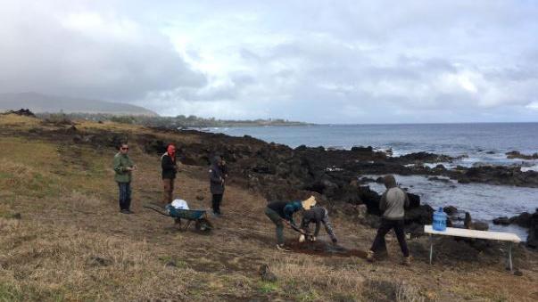 Imagen de Con “Umu Hatu”,  partieron obras para proteger el  complejo ceremonial Tahai en Rapa Nui