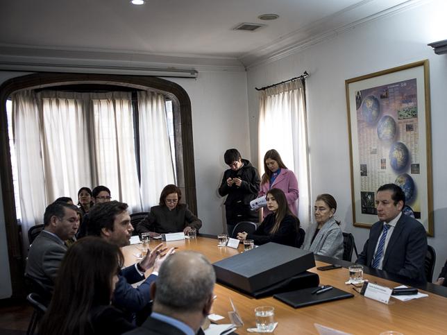 Imagen de Chile entrega a Bolivia 42 piezas paleontológicas incautadas en paso fronterizo