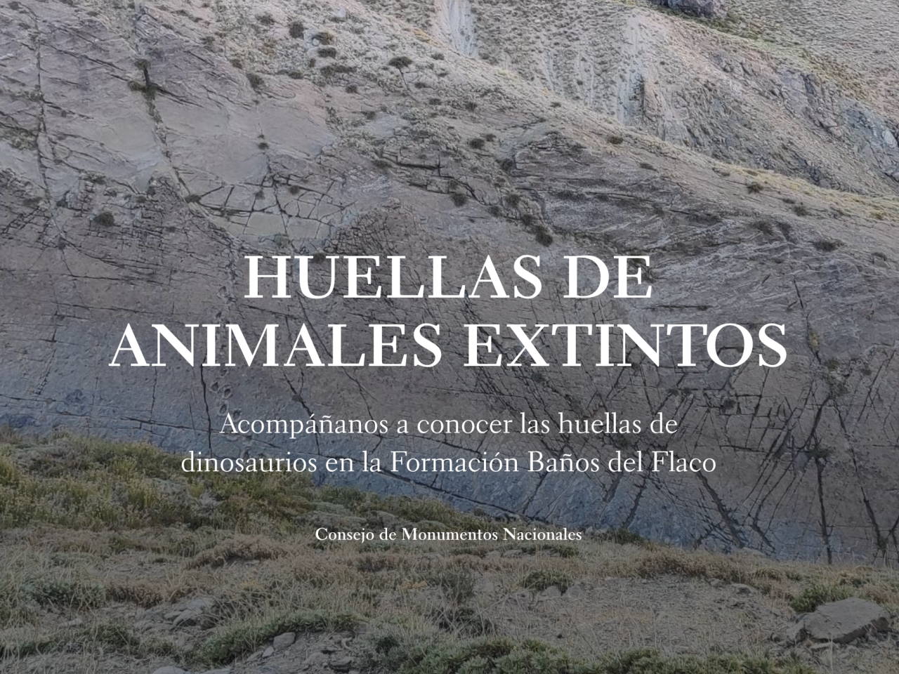 Portada visto Huellas de Animales Extintos