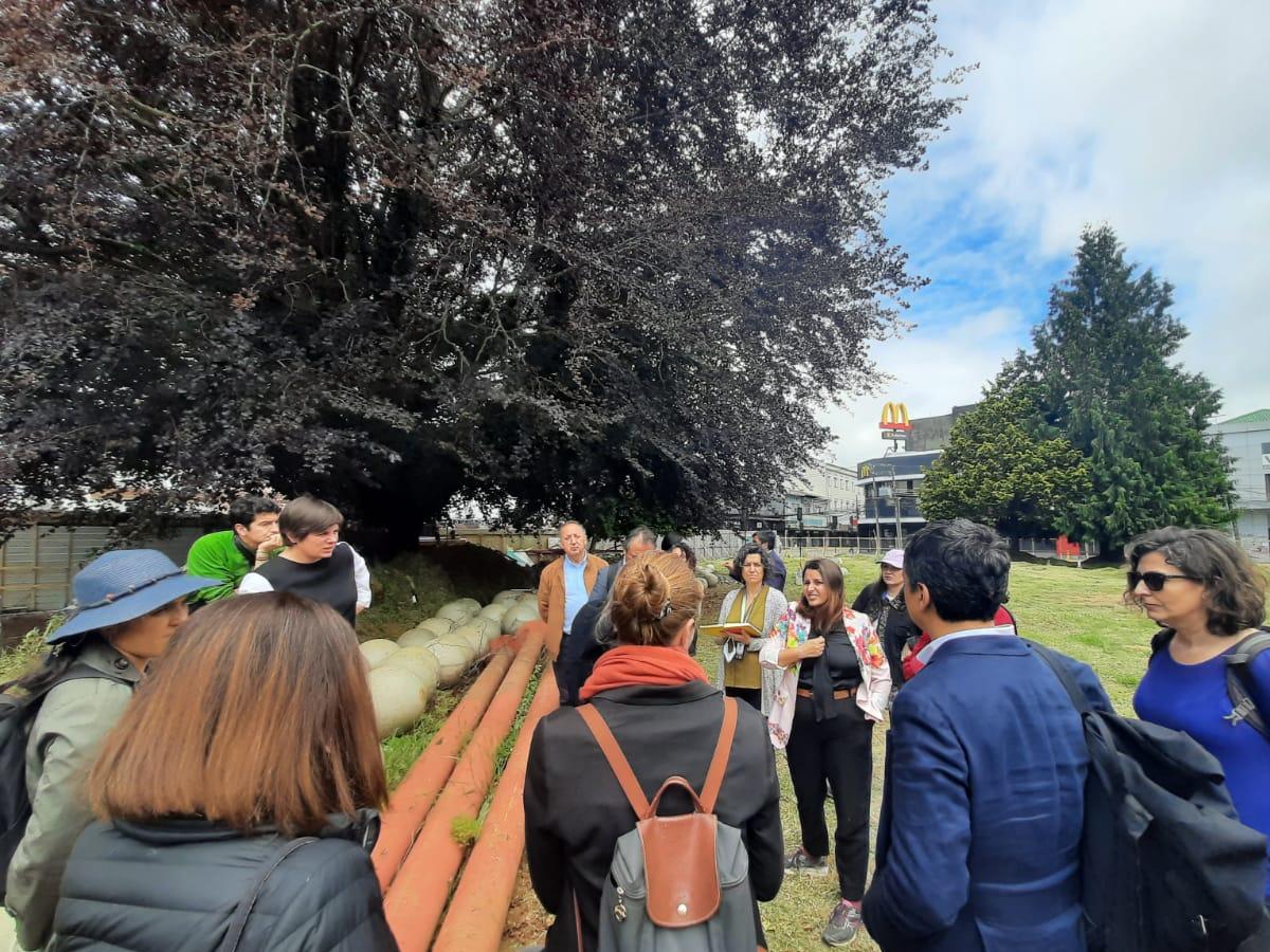 Imagen de Consejeros y equipo técnico del Consejo de Monumentos Nacionales visitaron Valdivia para constatar avances en obras relevantes para la ciudad