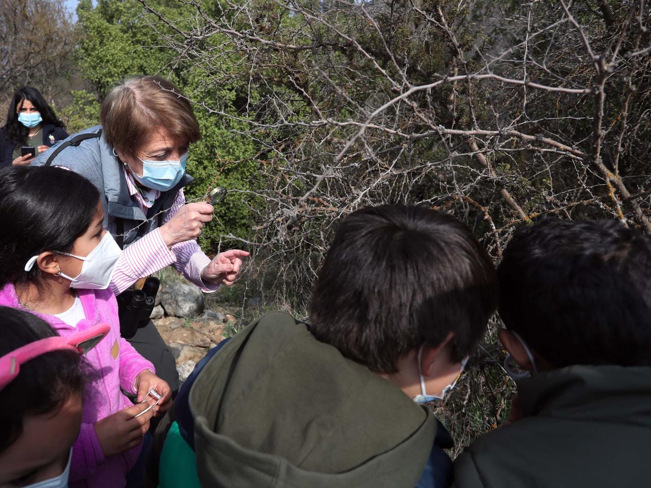 Imagen de Ministra de las Culturas visita uno de los cuatro Santuarios de la Naturaleza de la Región Metropolitana que abrirán gratuitamente para celebrar el Día de la Niñez