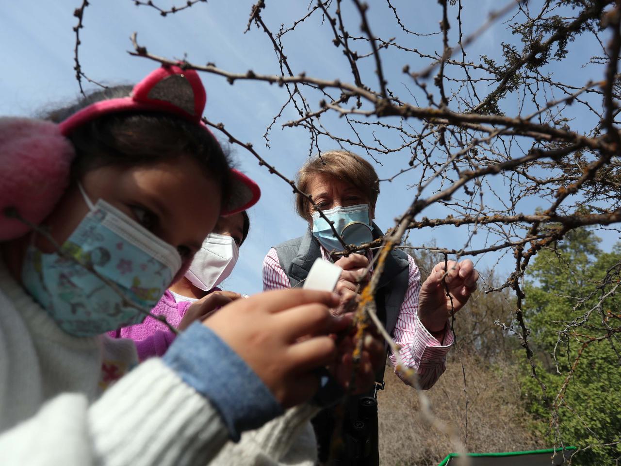 Imagen de Ministra de las Culturas visita uno de los cuatro Santuarios de la Naturaleza de la Región Metropolitana que abrirán gratuitamente para celebrar el Día de la Niñez