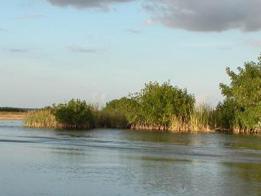 Imagen de Estados Unidos pide reingreso de su Parque Nacional de los Everglades a Lista de Patrimonio Mundial en Peligro