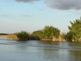 Imagen de Estados Unidos pide reingreso de su Parque Nacional de los Everglades a Lista de Patrimonio Mundial en Peligro