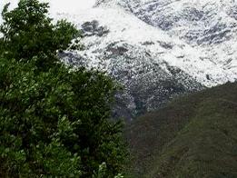 Imagen de Nuevo Santuario de la Naturaleza fortalece protección del pulmón verde de Santiago