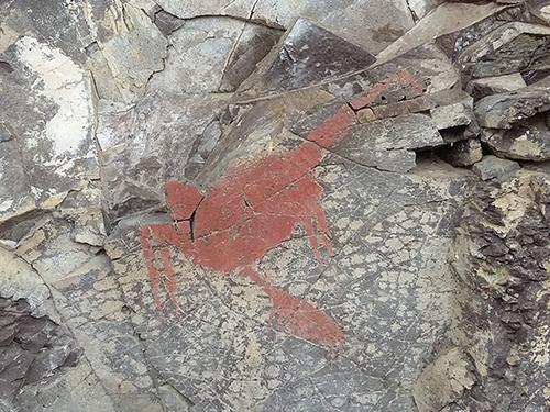 Imagen de CMN constata estado de conservación de pintura rupestre y Capilla de Mármol en la Región de Aysén