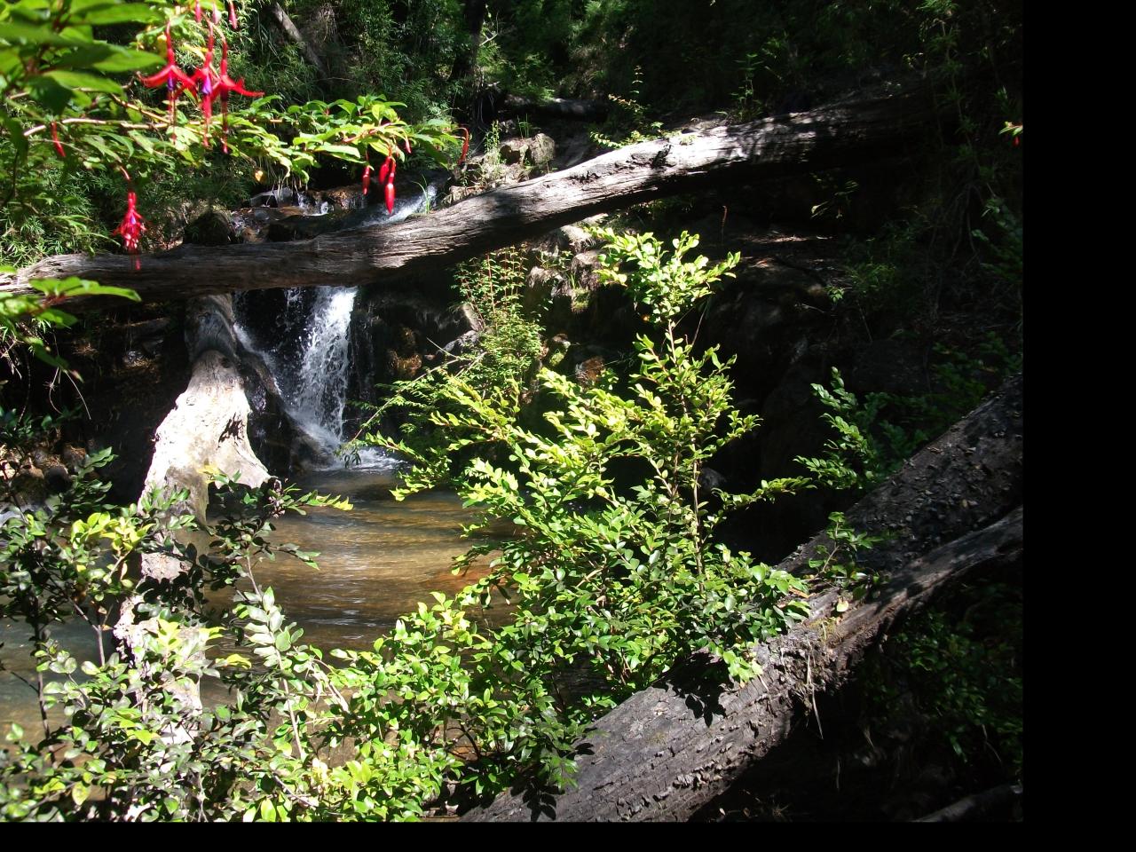 Imagen de CONAF SE SUMA AL DÍA DEL PATRIMONIO LIBERANDO EL PAGO DE INGRESO EN PARQUES NACIONALES