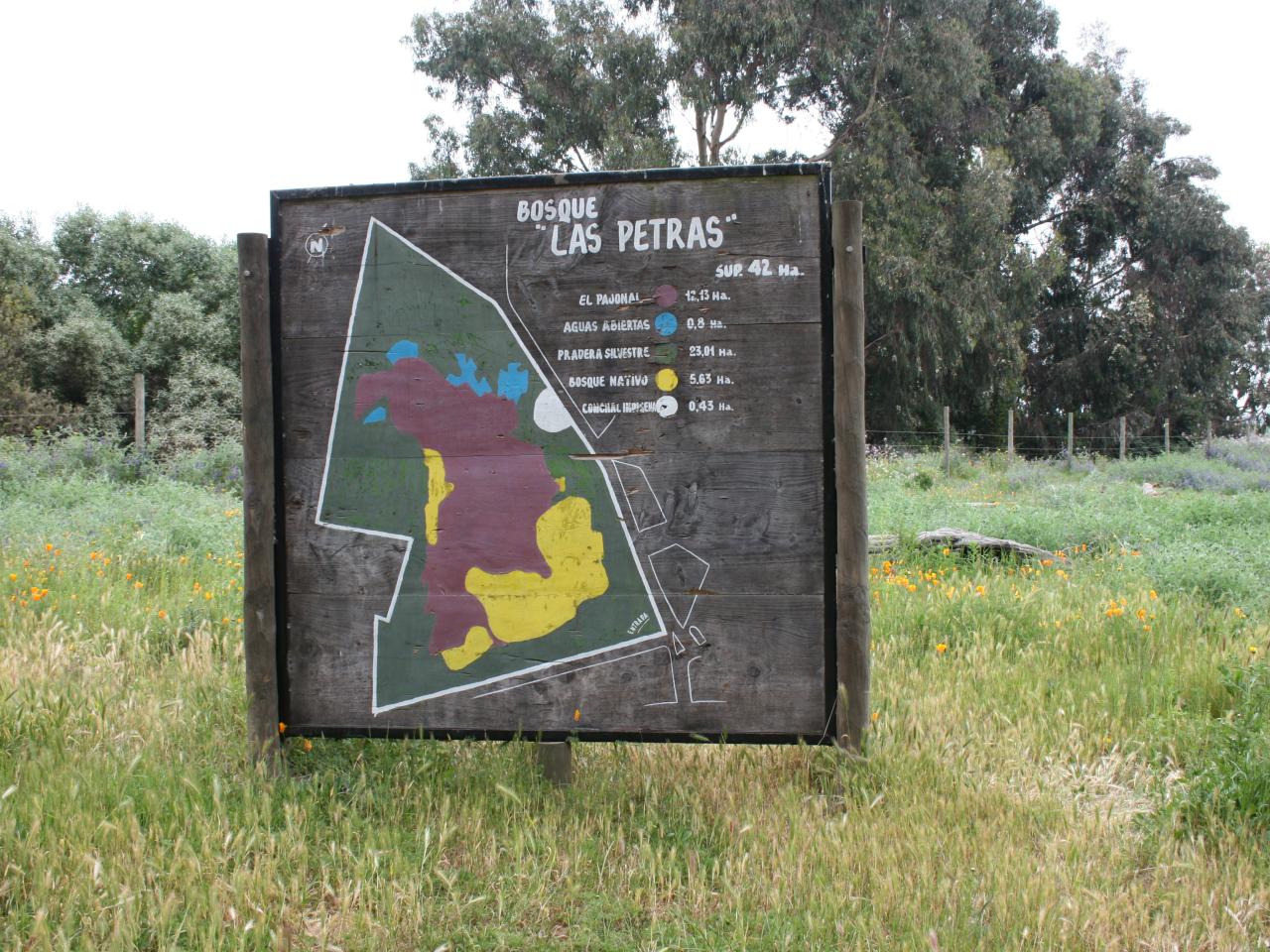 Imagen de Se capacitarán voluntarios y funcionarios públicos para recuperar el Bosque Las Petras de Quintero