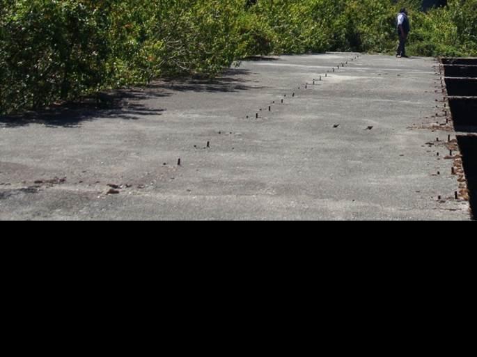 Imagen de Carbonífera Pupunahue se convertirá en Monumento Nacional