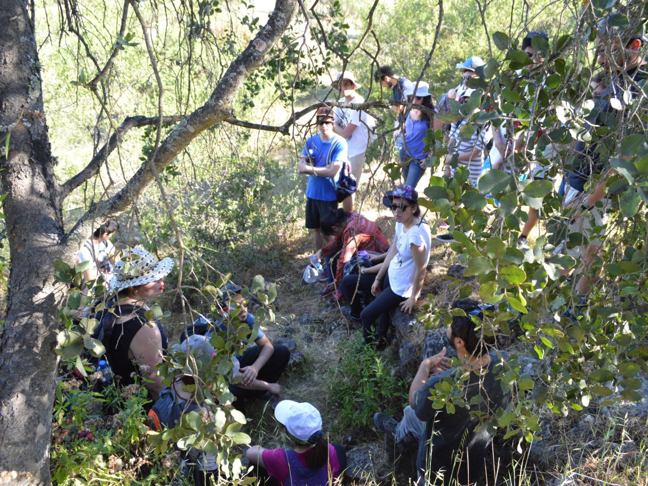Imagen de Maravilloso Viaje del Club de Los Sábados a Taguatagua