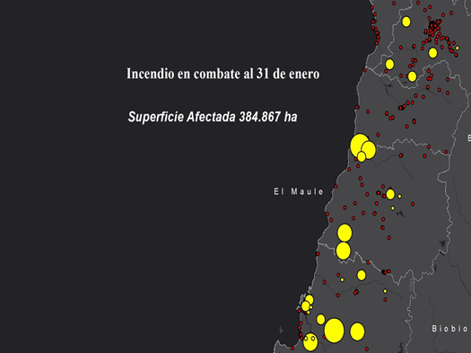 Imagen de Reporte parcial del impacto de los incendios forestales en Monumentos Nacionales