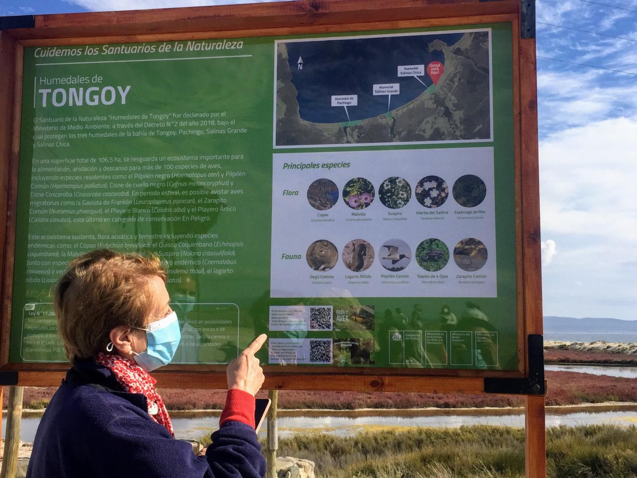 Imagen de Desde el Santuario de la Naturaleza Humedales de Tongoy Ministra de las Culturas anuncia medidas para la protección de estos Monumentos