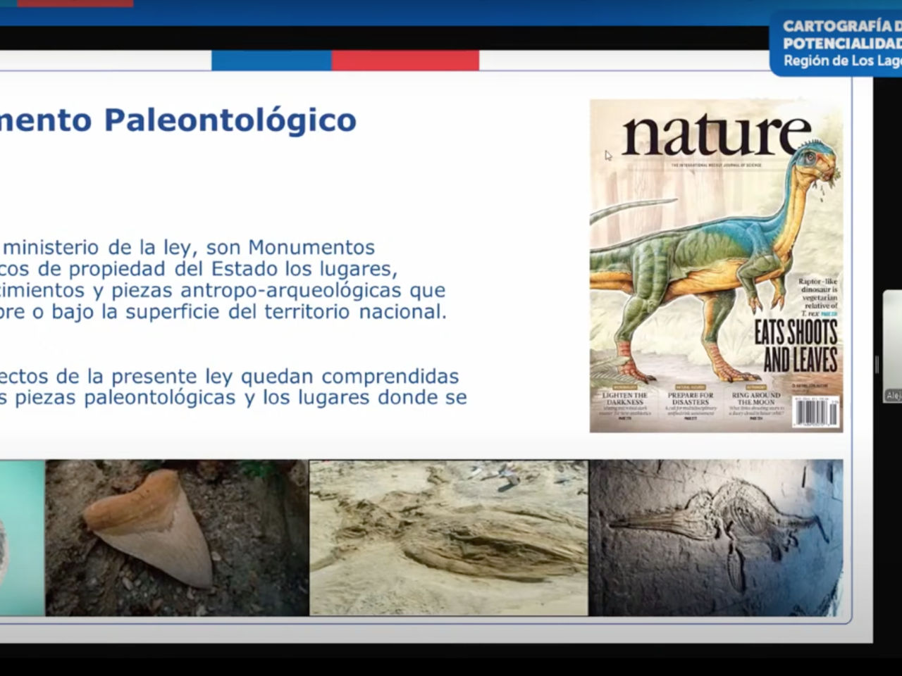 Imagen de Consejo de Monumentos Nacionales lanza herramienta digital que revela el potencial paleontológico de la Región de Los Lagos