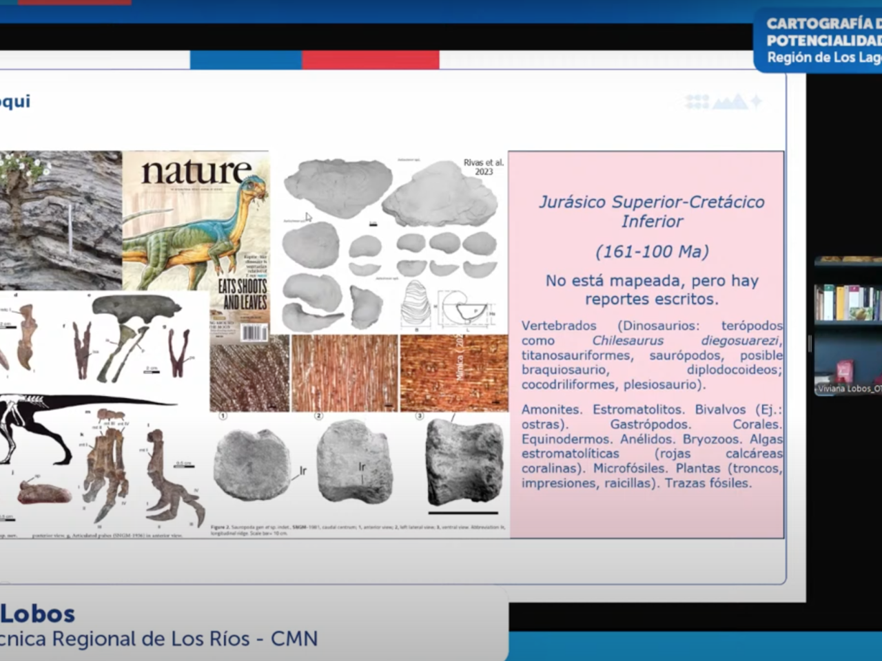 Imagen de Consejo de Monumentos Nacionales lanza herramienta digital que revela el potencial paleontológico de la Región de Los Lagos