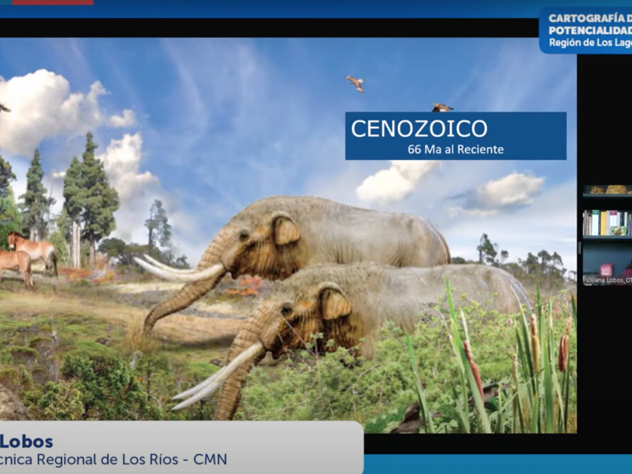 Imagen de Consejo de Monumentos Nacionales lanza herramienta digital que revela el potencial paleontológico de la Región de Los Lagos