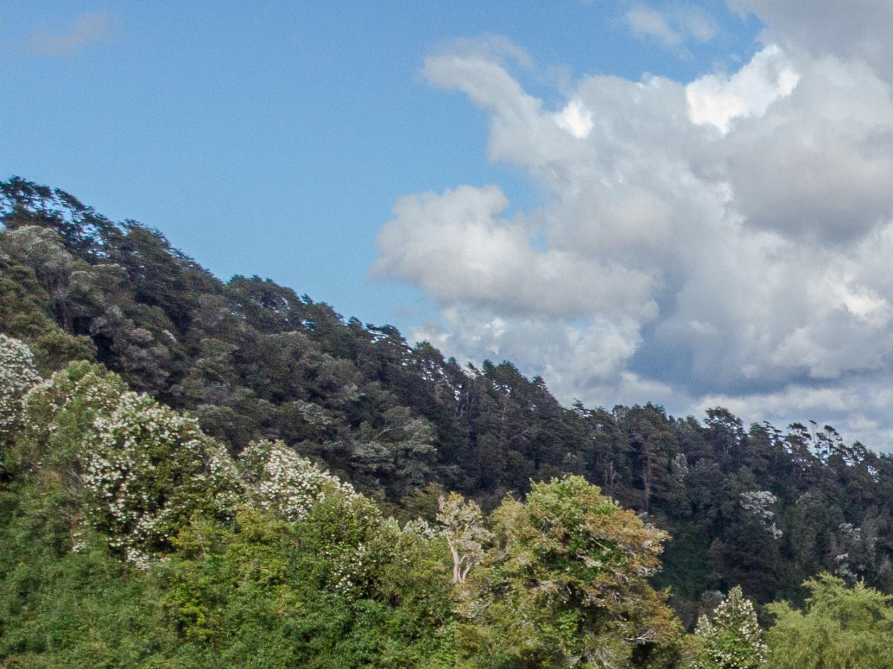 Imagen de Plan de Gestión Integrado del Sitio de Patrimonio Mundial Iglesias de Chiloé es presentado al Consejo de Monumentos Nacionales