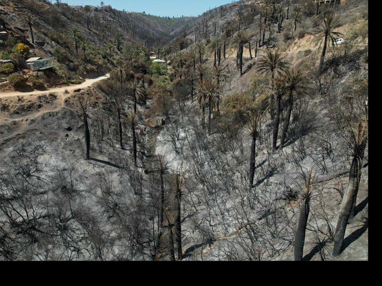 Imagen de Profesionales de la ST CMN realizaron inspección en Santuario de la Naturaleza Palmar El Salto de Viña del Mar