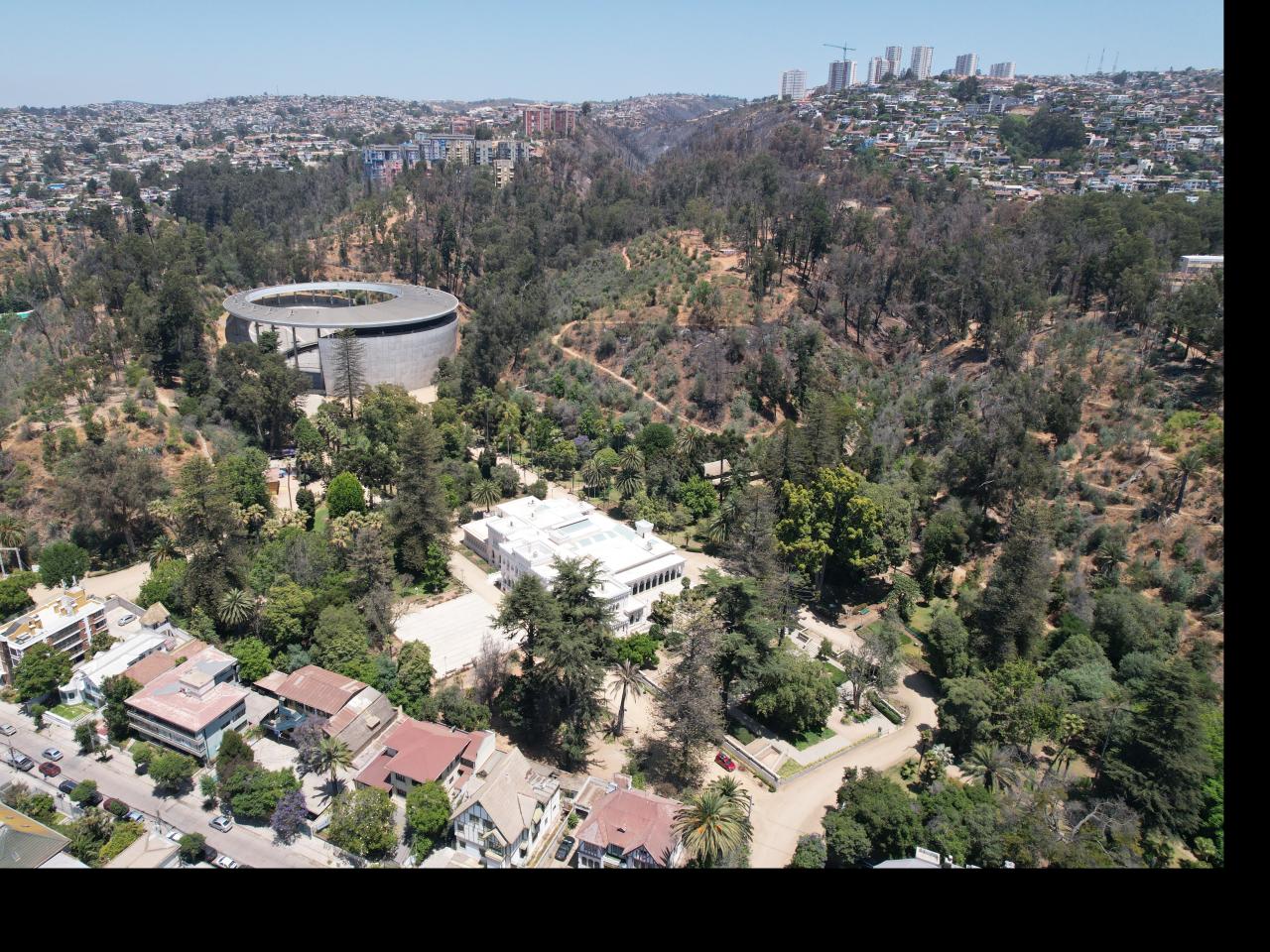 Imagen de Profesionales de la ST CMN realizaron inspección en Santuario de la Naturaleza Palmar El Salto de Viña del Mar