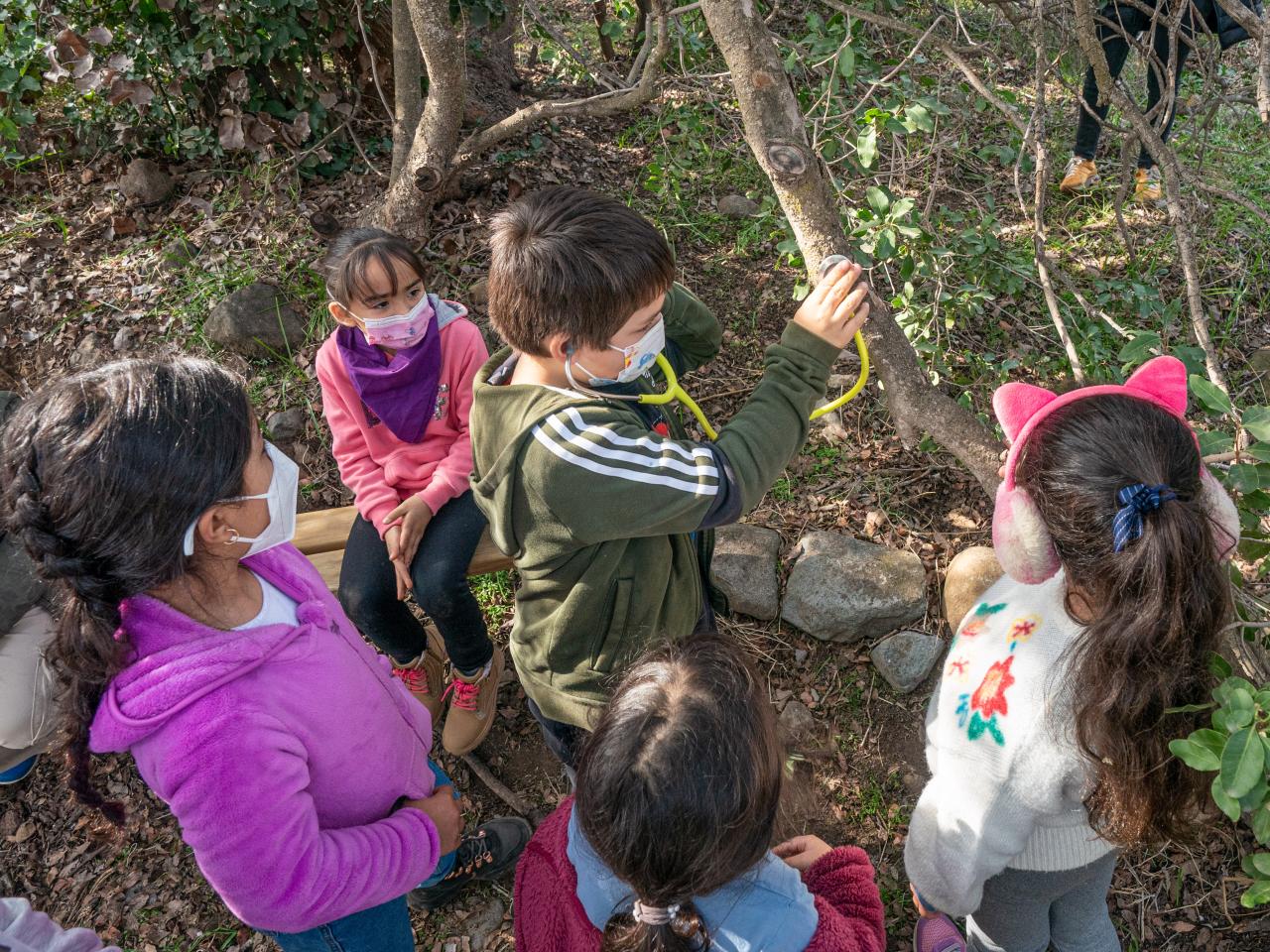 Imagen de ¡Sumamos un nuevo día para disfrutar el Patrimonio Natural! El domingo 15 tres Santuarios de la Naturaleza abrirán gratis