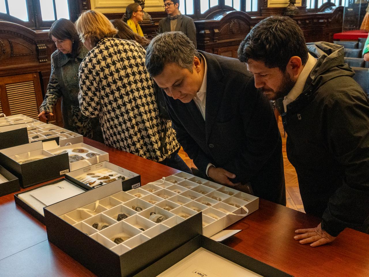 Imagen de Secretaría Técnica del CMN concreta la restitución de piezas paleontológicas originarias de Marruecos