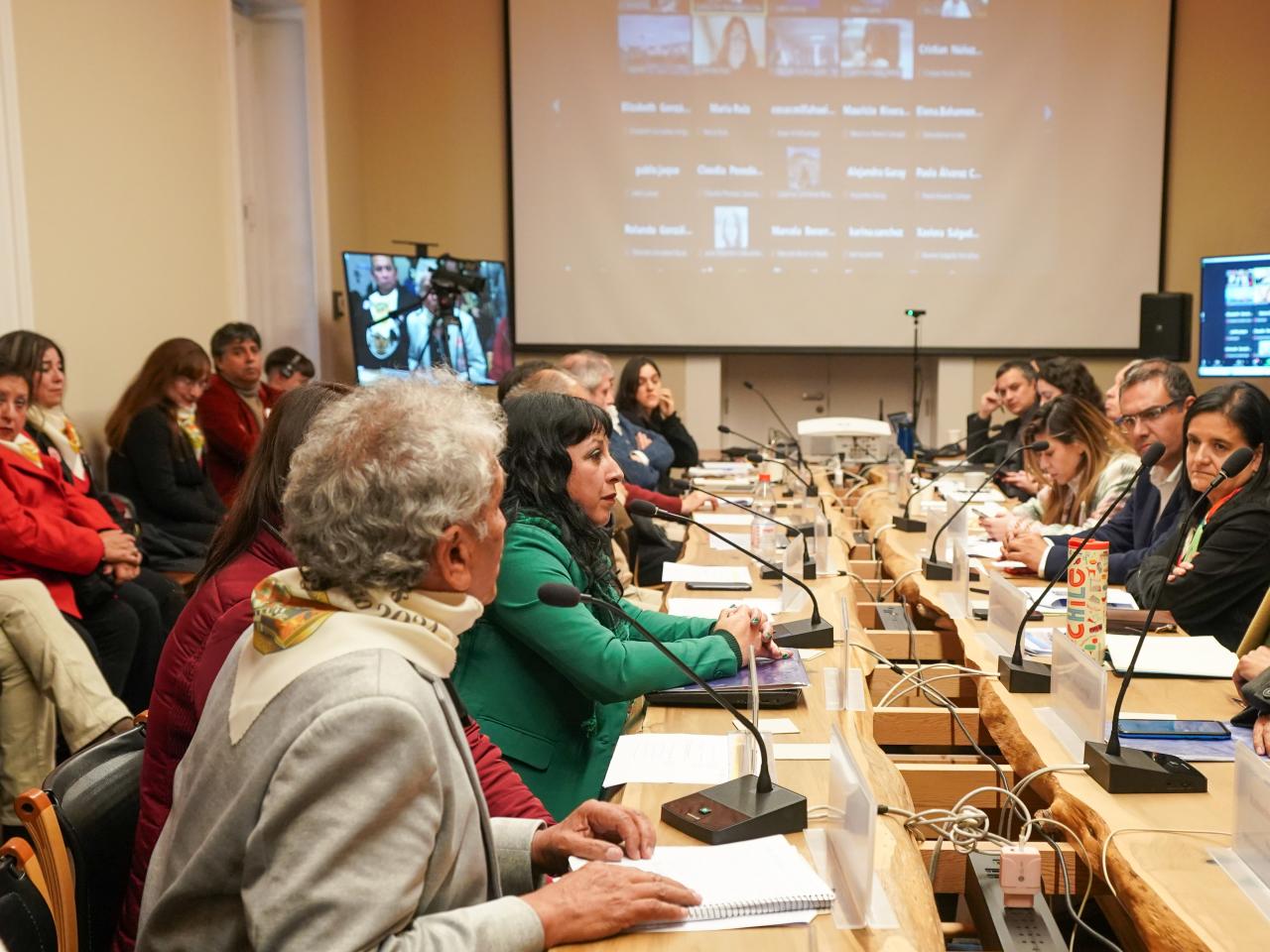 Imagen de CMN aprueba solicitud de declaratoria como Monumento Nacional del Asentamiento Minero de Potrerillos