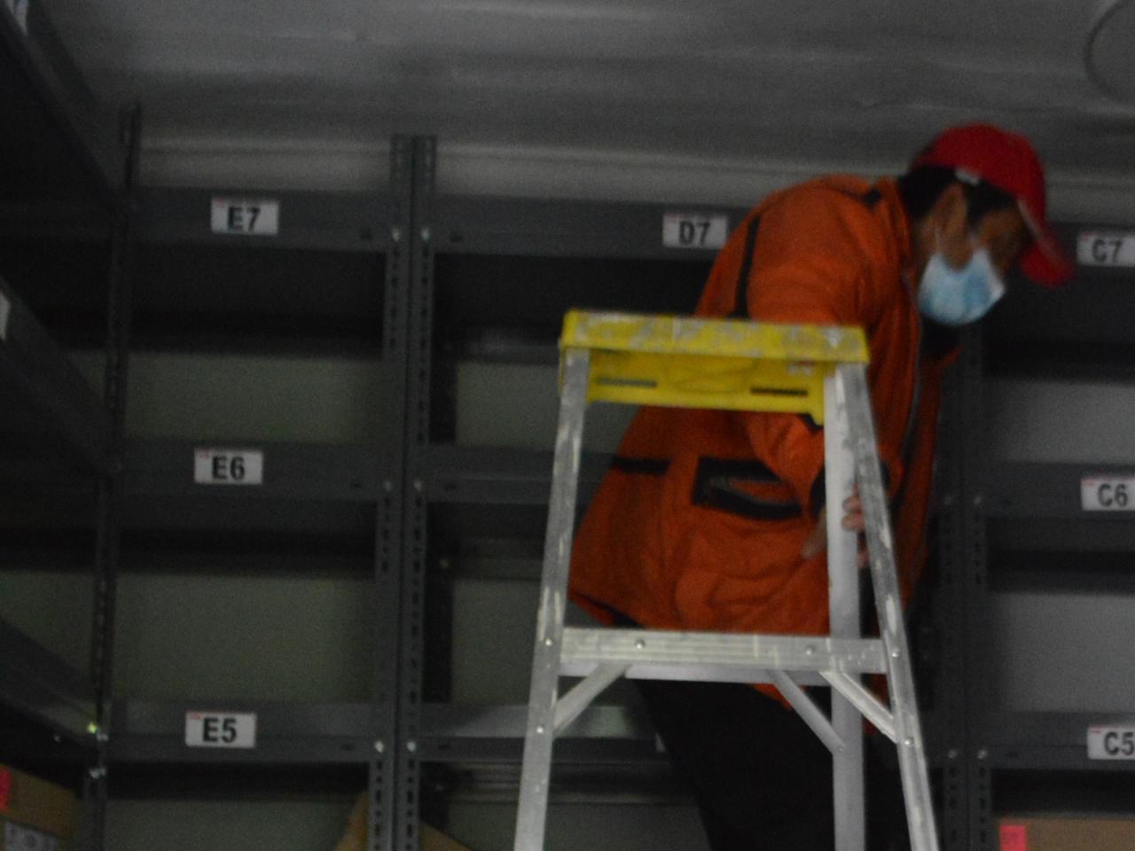 Imagen de Depósito de Paleontología del CMN estrena sus nuevas dependencias en el Palacio Pereira