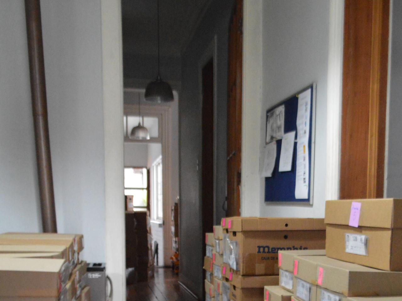 Imagen de Depósito de Paleontología del CMN estrena sus nuevas dependencias en el Palacio Pereira
