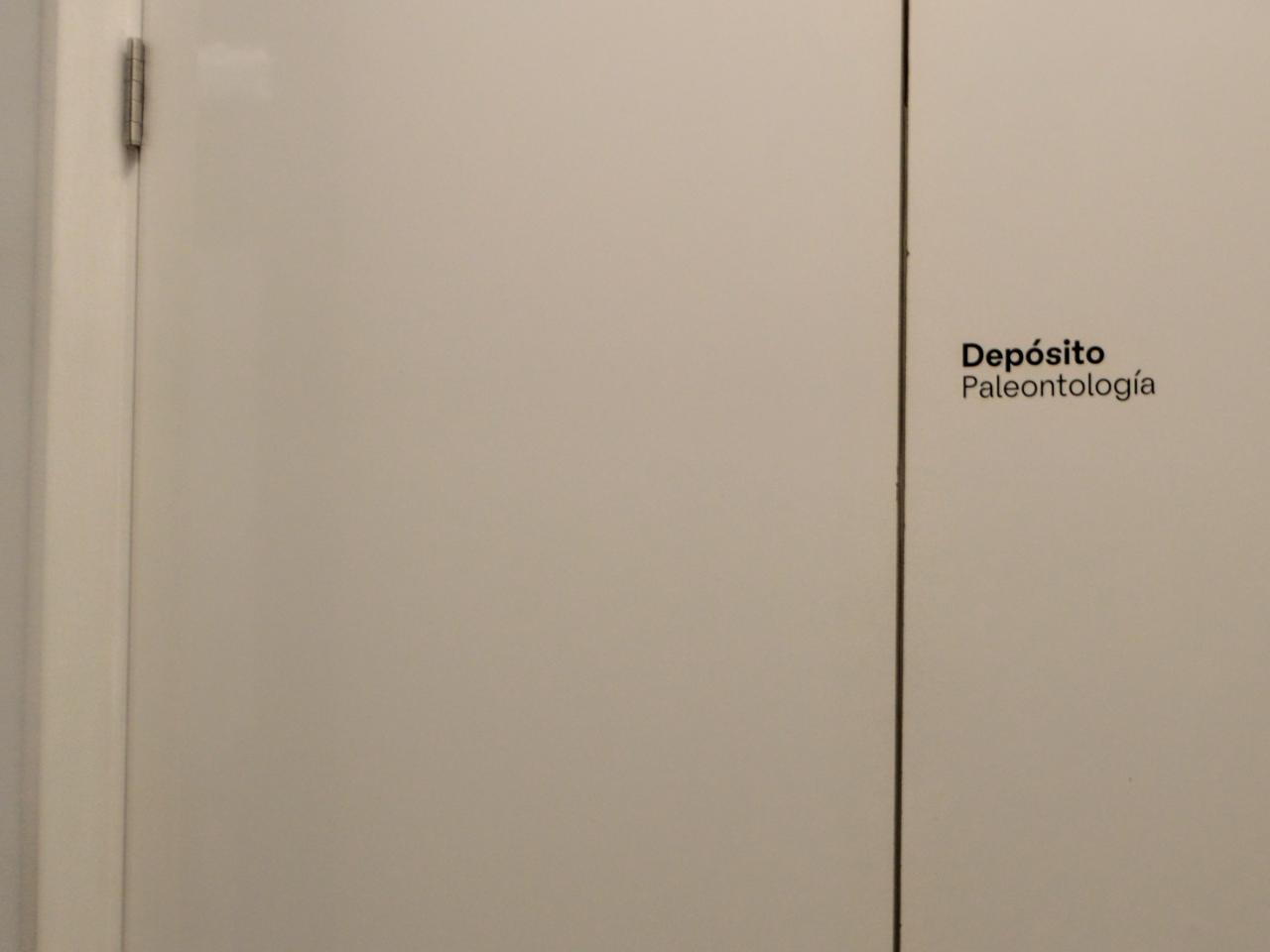Imagen de Depósito de Paleontología del CMN estrena sus nuevas dependencias en el Palacio Pereira