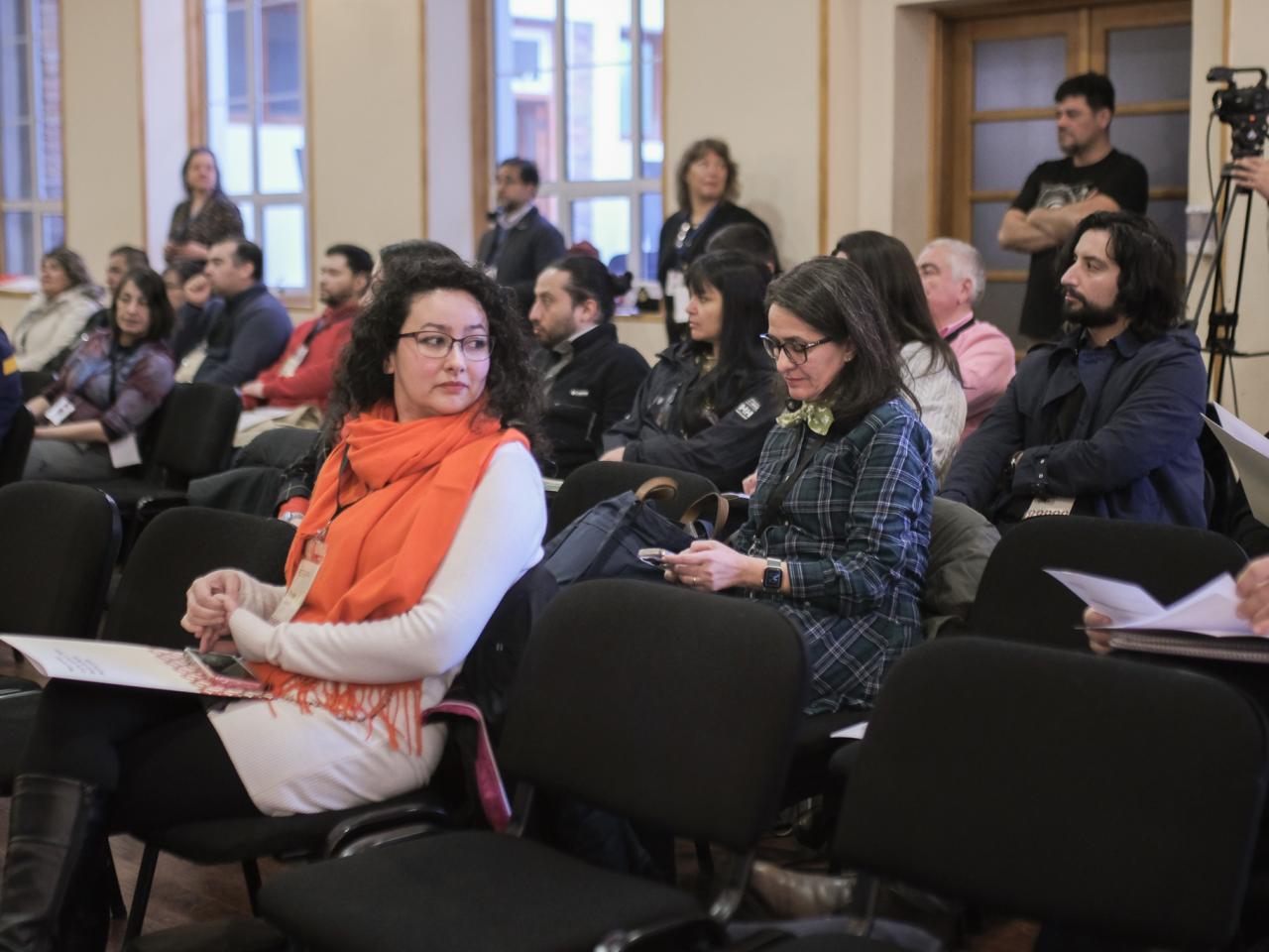 Imagen de Instituciones se reúnen en Punta Arenas para combatir el tráfico ilícito de bienes culturales
