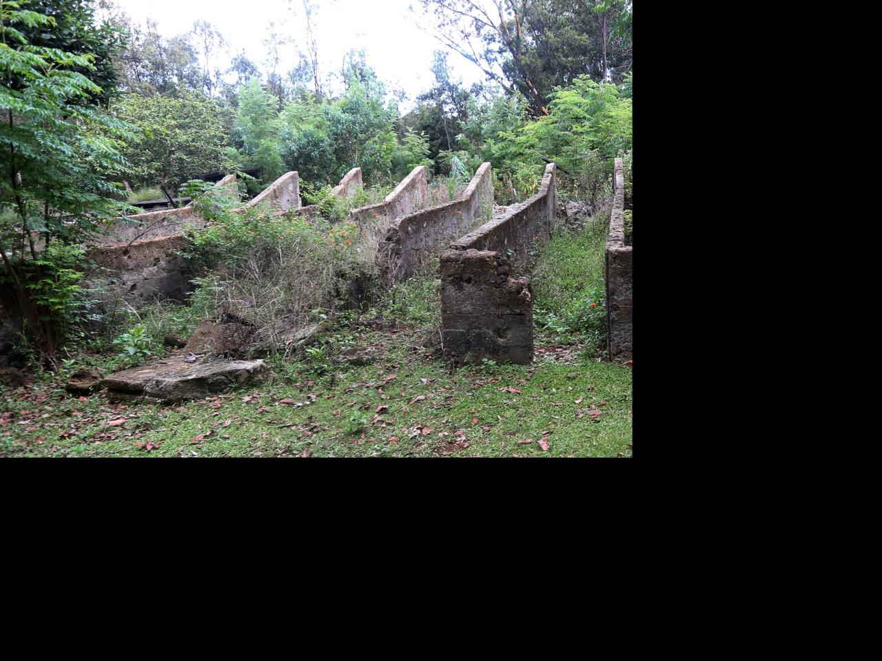 Imagen de Bienes Nacionales destina terreno de 10 hectáreas a Ministerio de Culturas para futuro Museo Antropológico de Rapa Nui